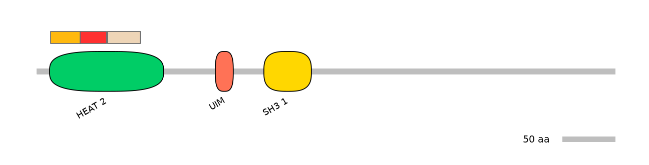 MmuEX6099046-INC