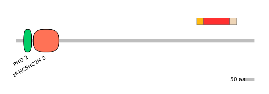 MmuEX6099115-INC