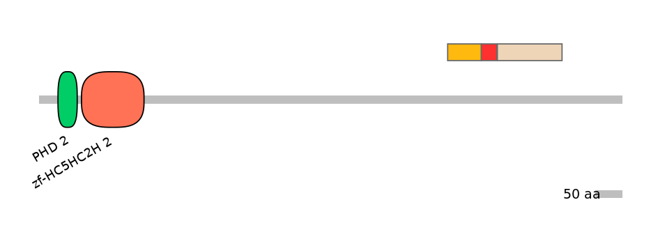 MmuEX6099116-INC