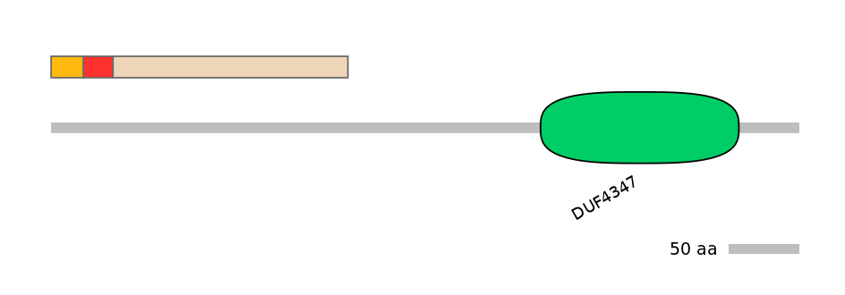MmuEX6099402-INC