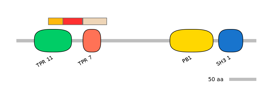MmuEX6099407-INC