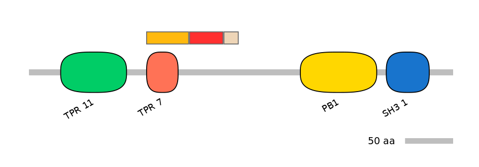 MmuEX6099409-INC