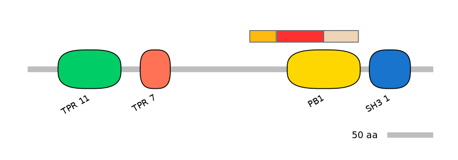 MmuEX6099413-INC