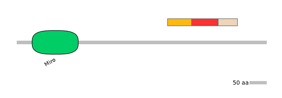 MmuEX6099595-INC