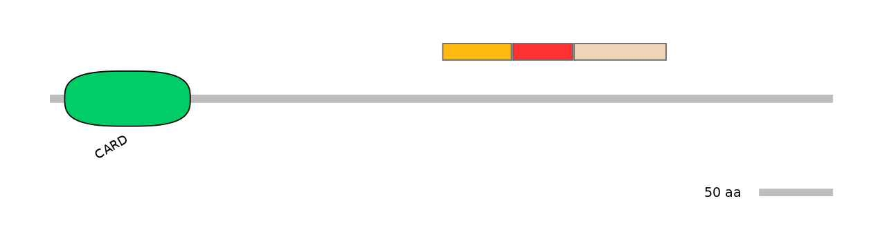 MmuEX6099700-INC