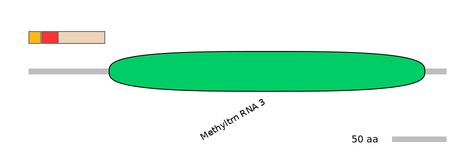 MmuEX6100206-INC