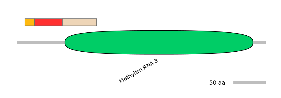 MmuEX6100207-INC
