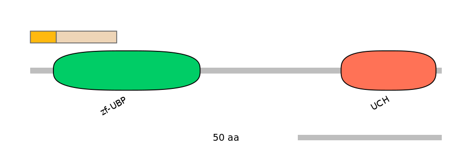 MmuEX6100318-EXC