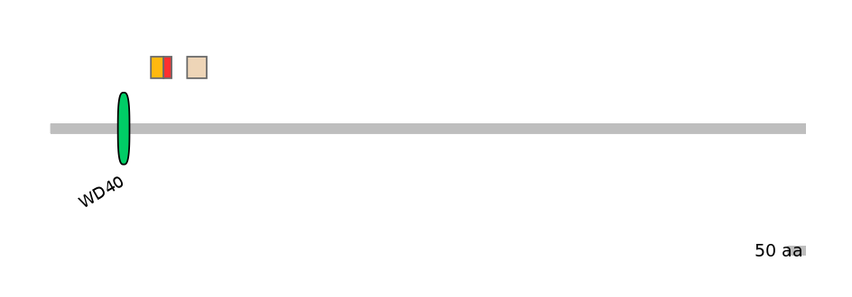 MmuEX6100472-INC