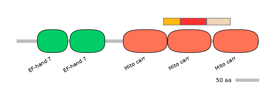 MmuEX6100559-INC