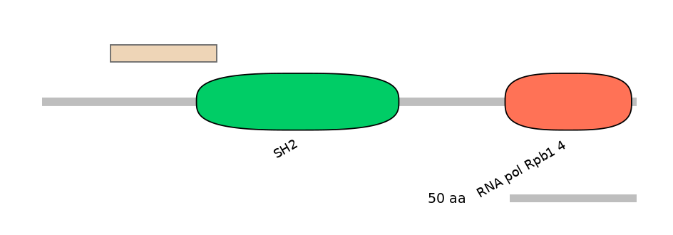 MmuEX6100609-EXC