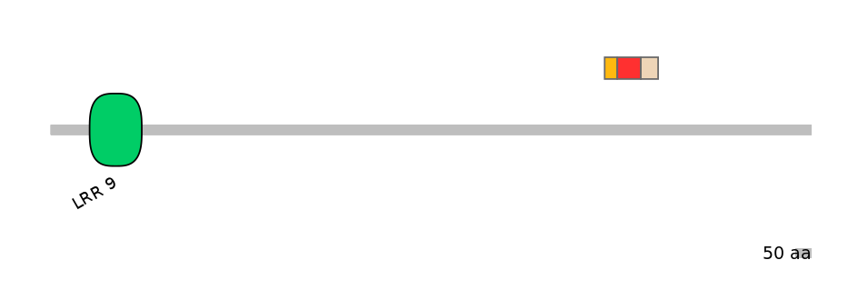 MmuEX6100809-INC