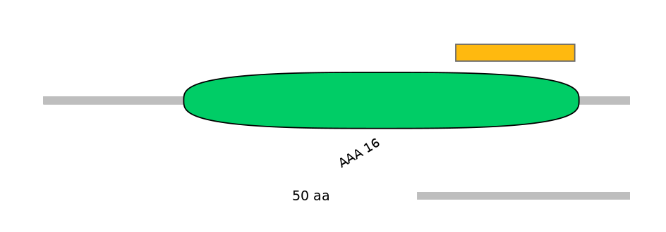MmuEX6101122-EXC