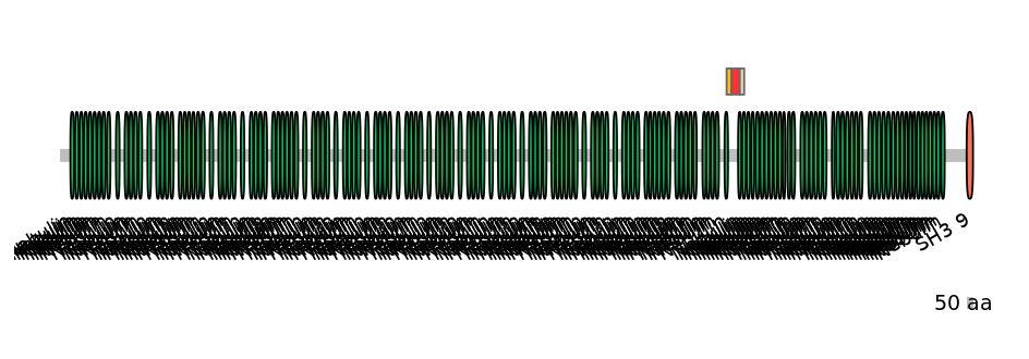 MmuEX6101281-INC