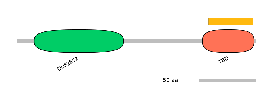 MmuEX6101563-EXC