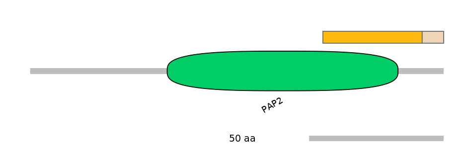 MmuEX6101847-EXC