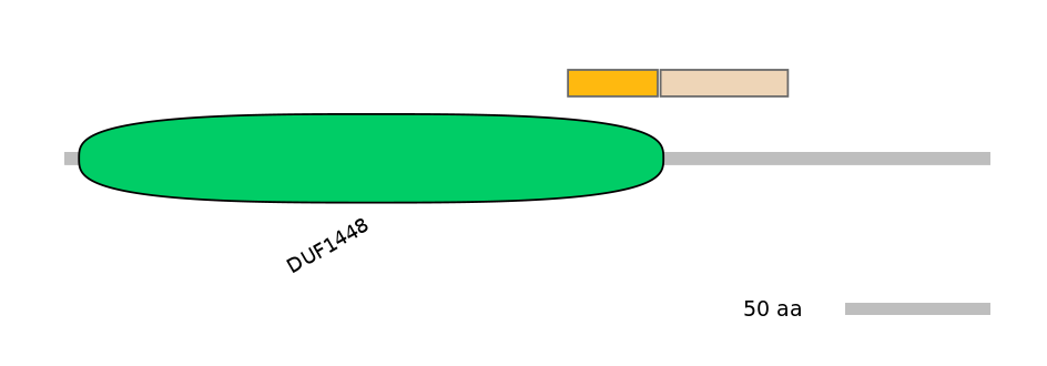 MmuEX6101954-EXC