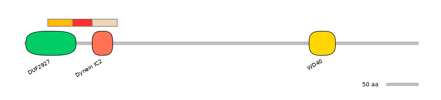 MmuEX6102089-INC
