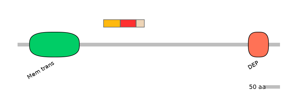 MmuEX6102189-INC