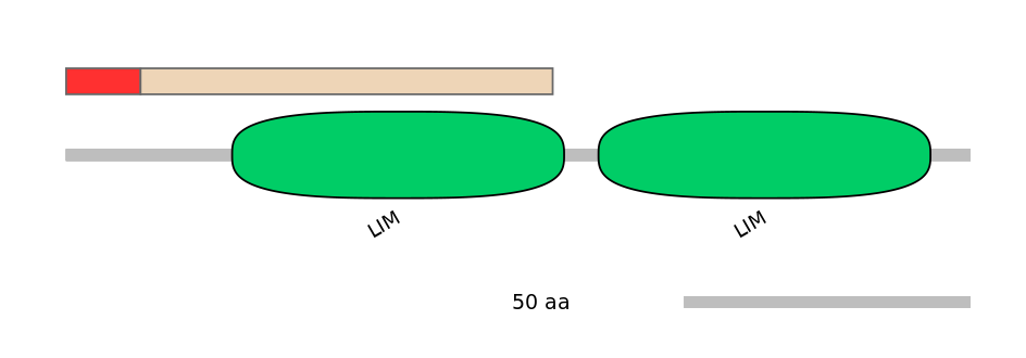 MmuEX6103308-INC