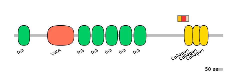 MmuEX6107616-INC