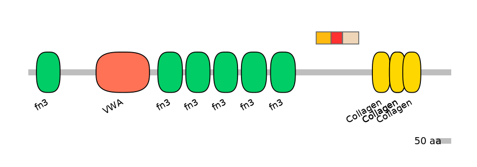 MmuEX6107617-INC