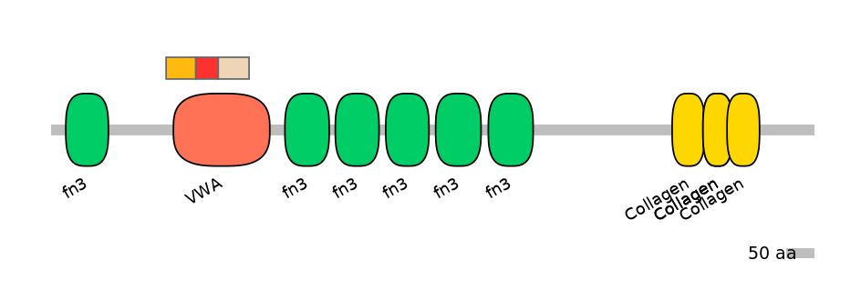 MmuEX6107624-INC