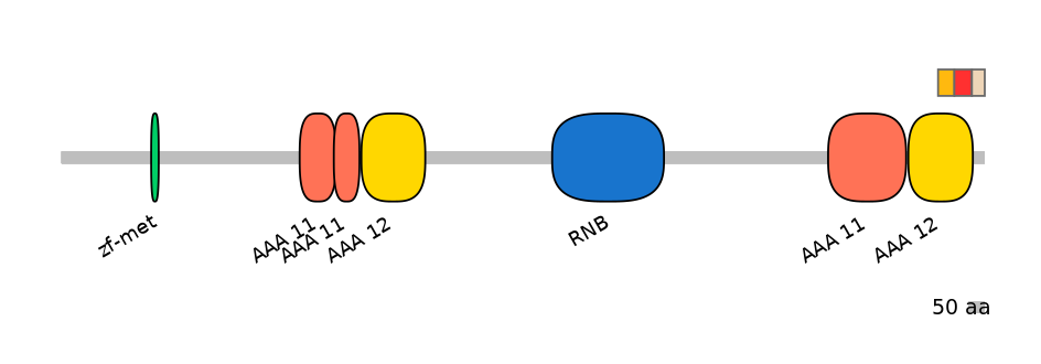 MmuEX6107664-INC