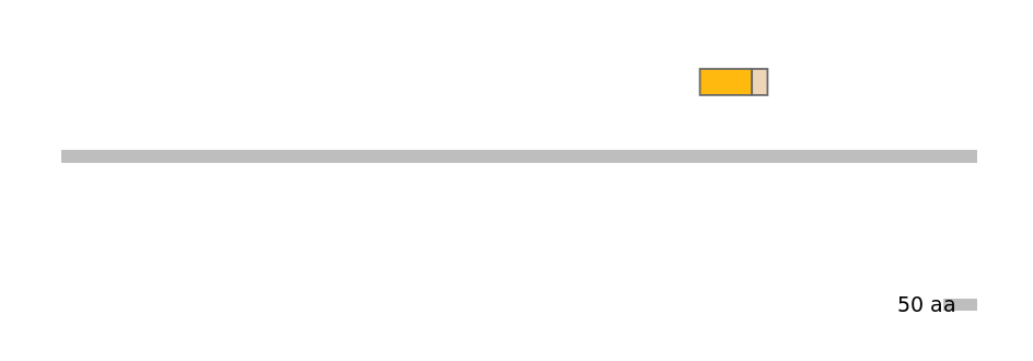 MmuINT0003448-EXC