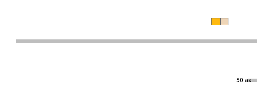 MmuINT0003451-EXC
