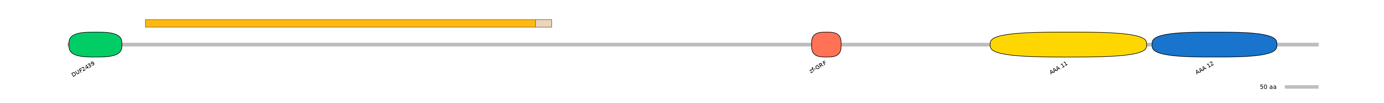 MmuINT0003955-EXC