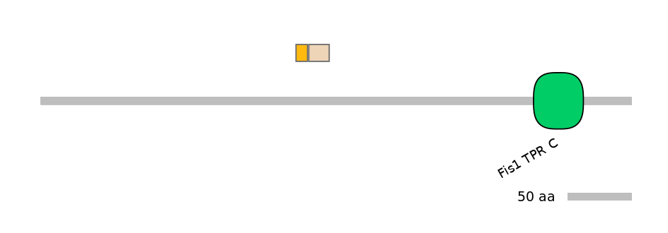 MmuINT0004833-EXC