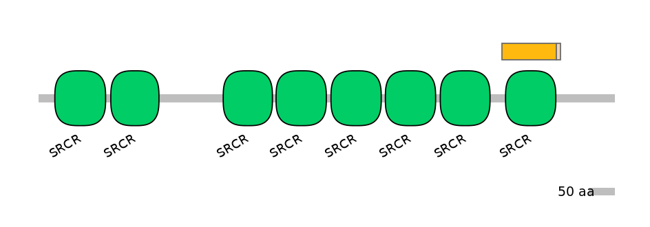 MmuINT0005463-EXC