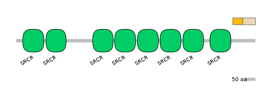 MmuINT0005465-EXC