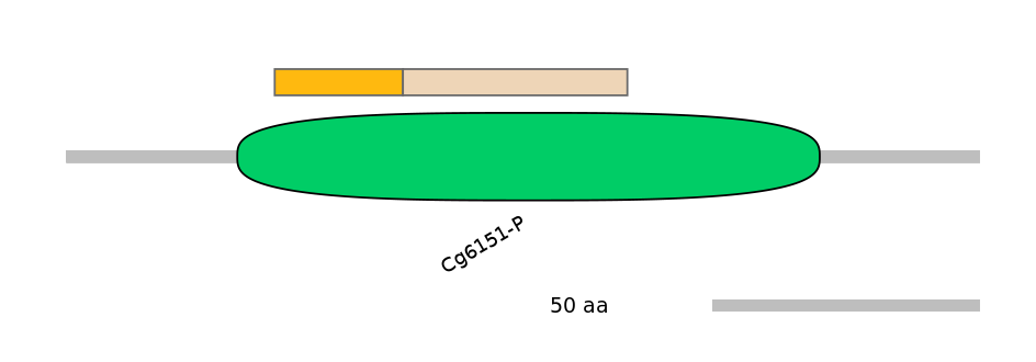 MmuINT0005547-EXC