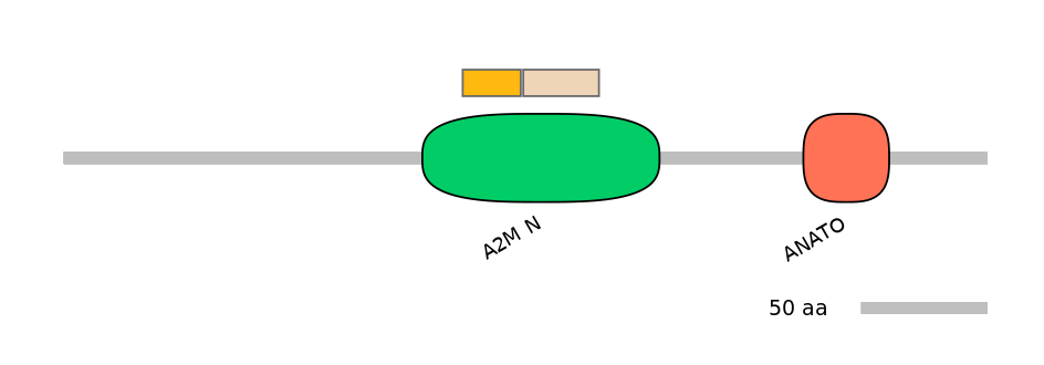 MmuINT0006883-EXC