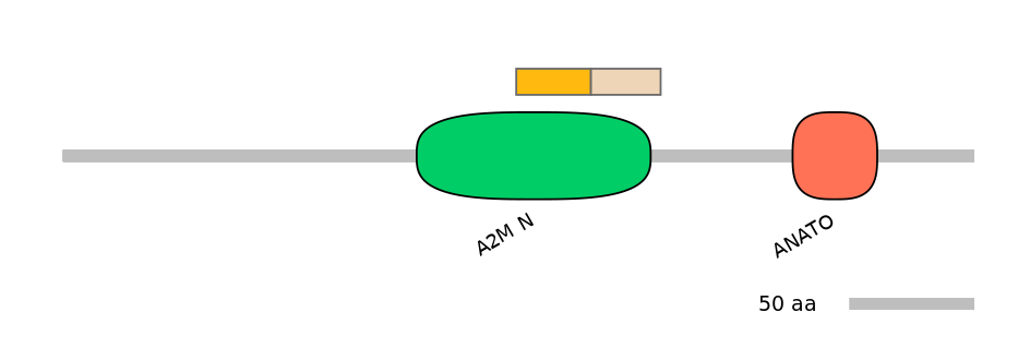 MmuINT0006884-EXC
