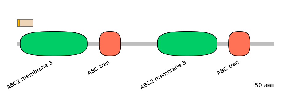 MmuINT0007861-EXC
