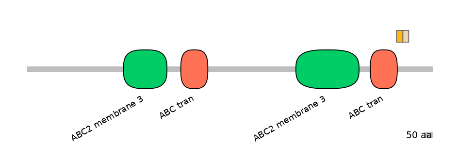 MmuINT0008027-EXC