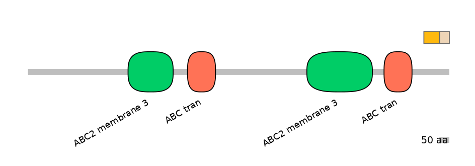 MmuINT0008029-EXC