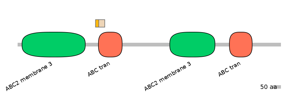 MmuINT0008075-EXC