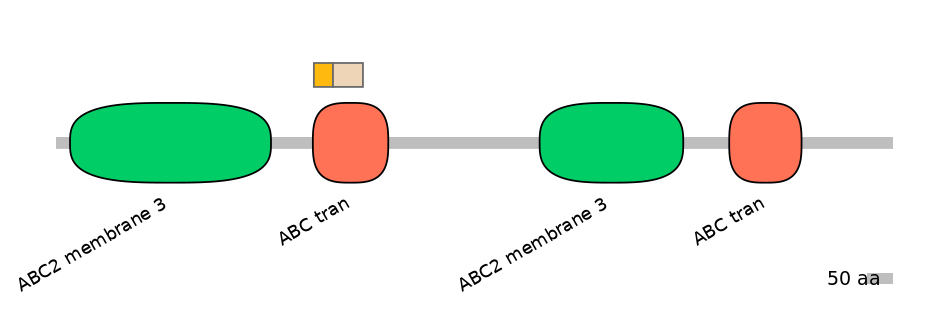 MmuINT0008076-EXC