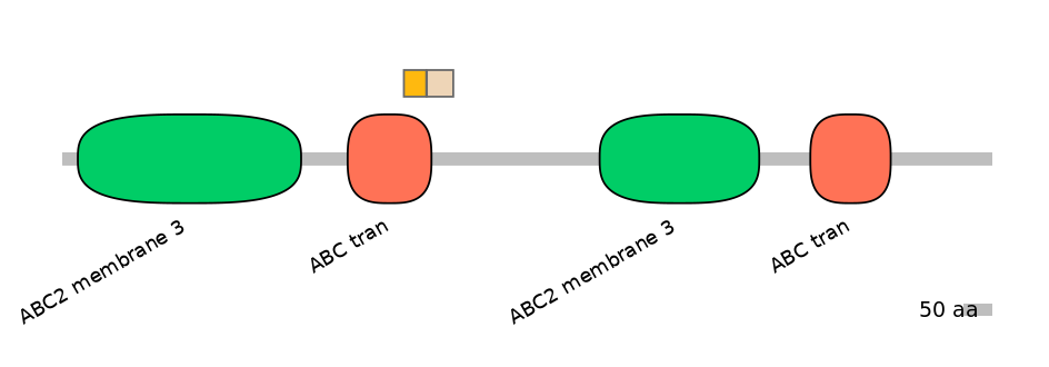 MmuINT0008078-EXC