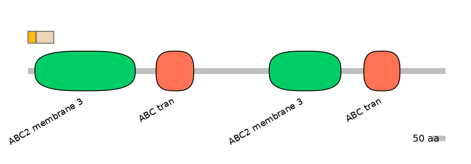 MmuINT0008084-EXC