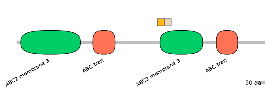 MmuINT0008086-EXC