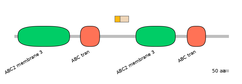 MmuINT0008120-EXC