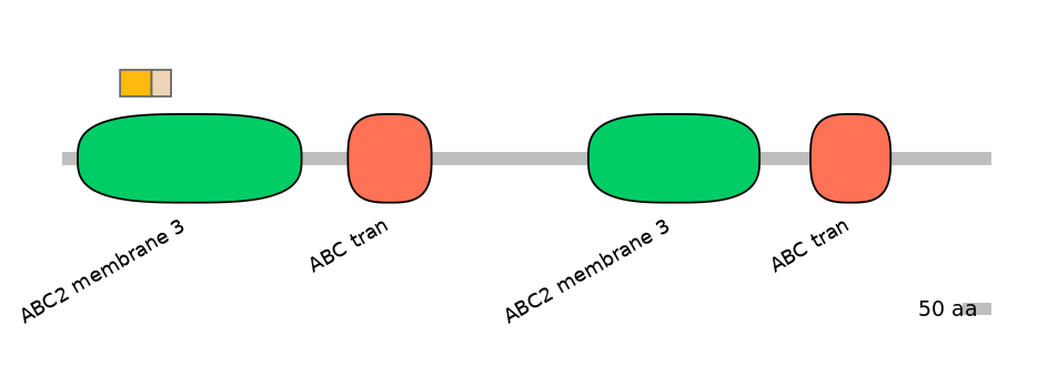 MmuINT0008143-EXC