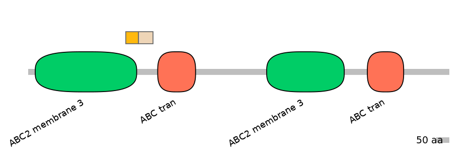 MmuINT0008148-EXC