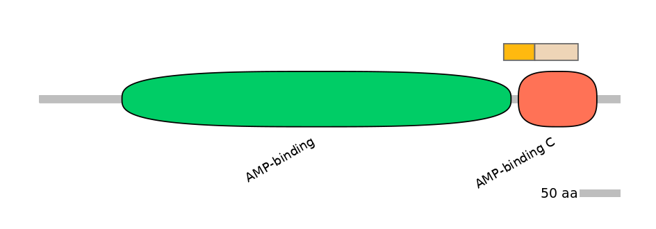 MmuINT0010176-EXC