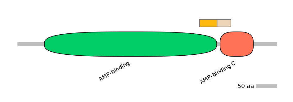 MmuINT0010260-EXC